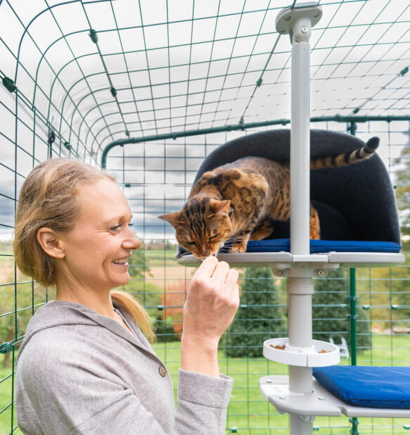 En kvinde kæler for sin kat på kattetræet Freestyle 