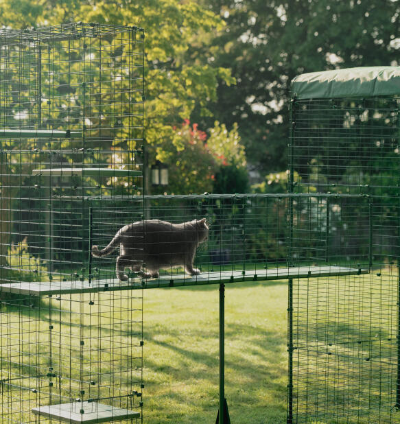 Cat on holdbar vejrbestandig Omlet catio tunnel gangbro