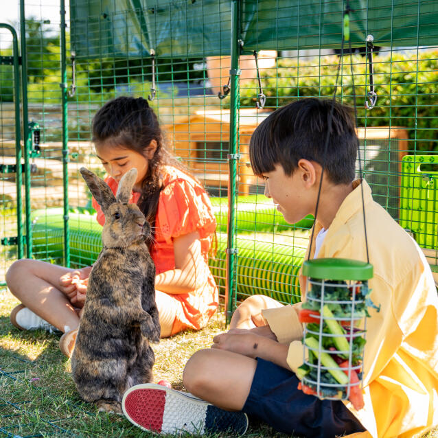 Børn og kaniner leger i en stor udendørs kaninbane