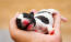 En vidunderlig fransk bulldog-hvalp, der ligger på sin ejers hånd