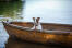 En dejlig, lille jack russell terrier, der slapper af i en båd efter en svømmetur