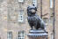 Greyfriars bobby statue af en loyal skye terrier, der blev ved sin herres grav i fjorten år