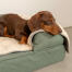 Din hund vil nyde en afslappet dyb søvn med dette luksus superbløde hundetæppe.