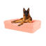 Hund sidder på fersken lyserød stor skumgummi bolster hund seng