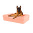 Hund sidder på fersken lyserød stor skumgummi bolster hund seng Hund sidder på fersken lyserød stor skumgummi bolster hund seng