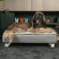 Hund sidder på Omlet Topology hundeseng med quiltet top og hvide skinnefødder