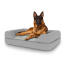 Hund sidder på en stor Topology hundeseng med pude på toppen Hund sidder på en stor Topology hundeseng med pude på toppen