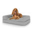 Hund sidder på medium Topology hundeseng med bolster Hund sidder på medium Topology hundeseng med bolster