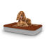 Hund sidder på medium Topology hundeseng med microfiber topper Hund sidder på medium Topology hundeseng med microfiber topper