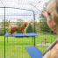 Kat klatrer på blå udendørs kattehylde i catio udendørs løbegård med synlige drænhuller Kat klatrer på blå udendørs kattehylde i catio udendørs løbegård med synlige drænhuller