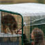Ejeren interagerer med sin kat i en løbegård med klar overdækning