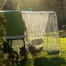 Eglu Go op hønsehus med løbegård med klart dæksel Eglu Go op hønsehus med løbegård med klart dæksel