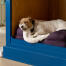En terrier, der ligger på et blødt hvidt tæppe i en lilla seng i en blå hundehule