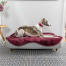 Greyhound hviler i en memoryskum Topology hundeseng