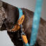 Et nærbillede af halsbåndet og hundesnoren i Nature Trail Teal-designet