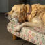 En Golden retriever sover i Morning Meadow hundeseng med støttekant