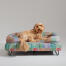 En Goldendoodle hviler på toppen af Pawsteps Electric hundeseng med støttekant