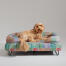 En Goldendoodle hviler på toppen af Pawsteps Electric hundeseng med støttekant En Goldendoodle hviler på toppen af Pawsteps Electric hundeseng med støttekant