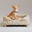 En chihuahua sidder på en hundeseng med støttekant i Morning Meadow-design En chihuahua sidder på en hundeseng med støttekant i Morning Meadow-design