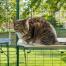Kat sidder på hvid vandtæt kattehylde i udendørs catio Kat sidder på hvid vandtæt kattehylde i udendørs catio