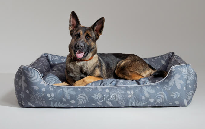 Schæferhund ligger på en stor designer rede-seng af Omlet