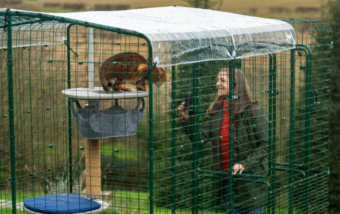 Ejer interagerer med sin kat i en Omlet Walk In Run med klar vejrbeskyttelse.