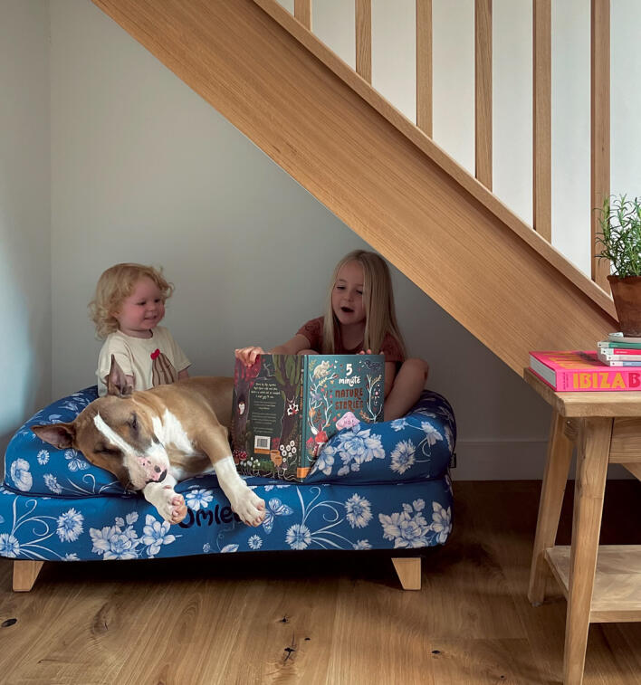 Børn læser for hund på memory foam-hundeseng