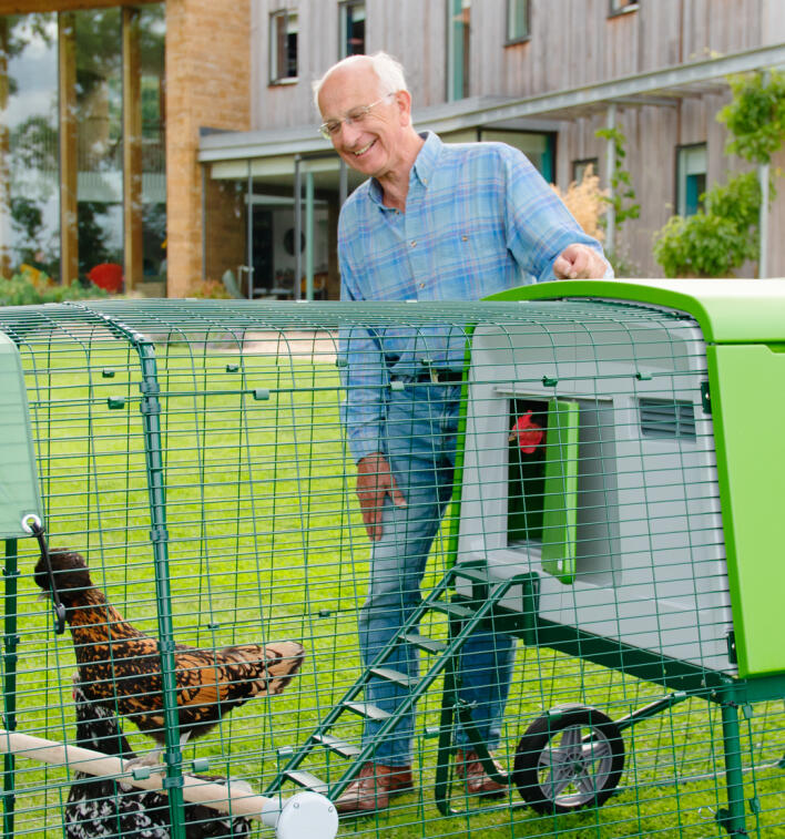 ældre mand i ternet skjorte kigger på sine høns i deres hønsegård med løbegård