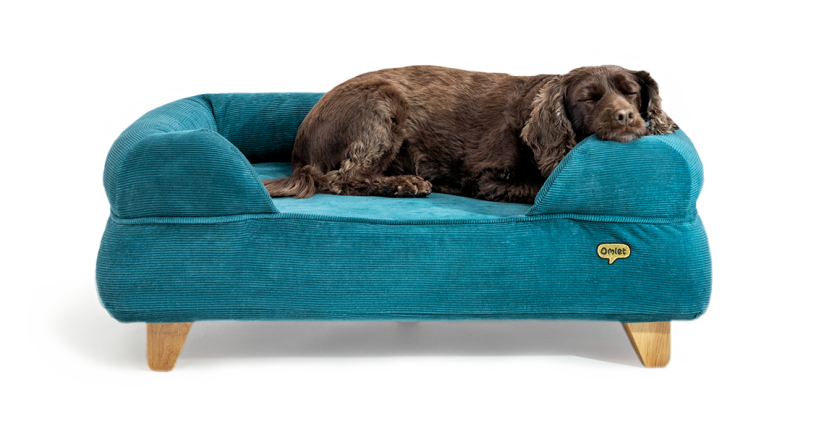 Hunden sover i en hundeseng af memory foam