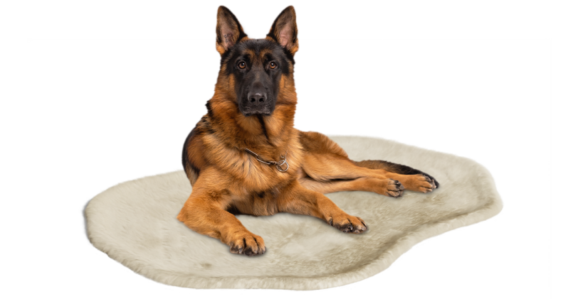 Stor hund hviler i Omlet hundetæppe