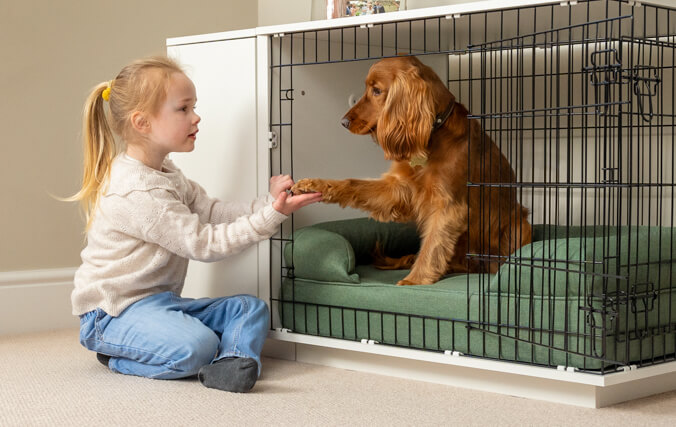 barn leger med en hund i et hundebur