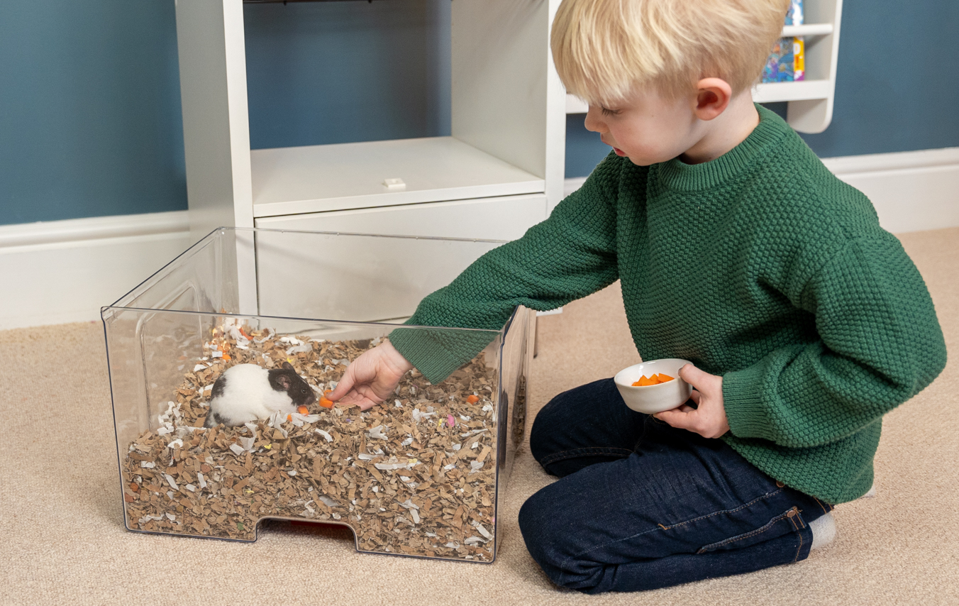 barn, der fodrer en hamster i bundbakken i et Qute-hamsterbur