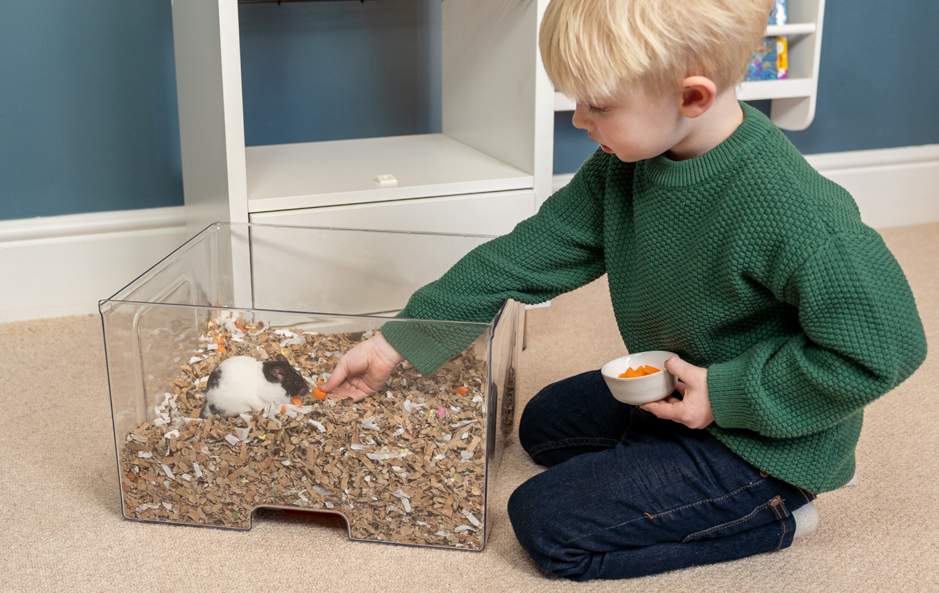 barn, der fodrer en hamster i bundbakken i et Qute-hamsterbur