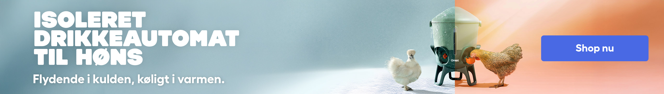 insulated chicken drinker