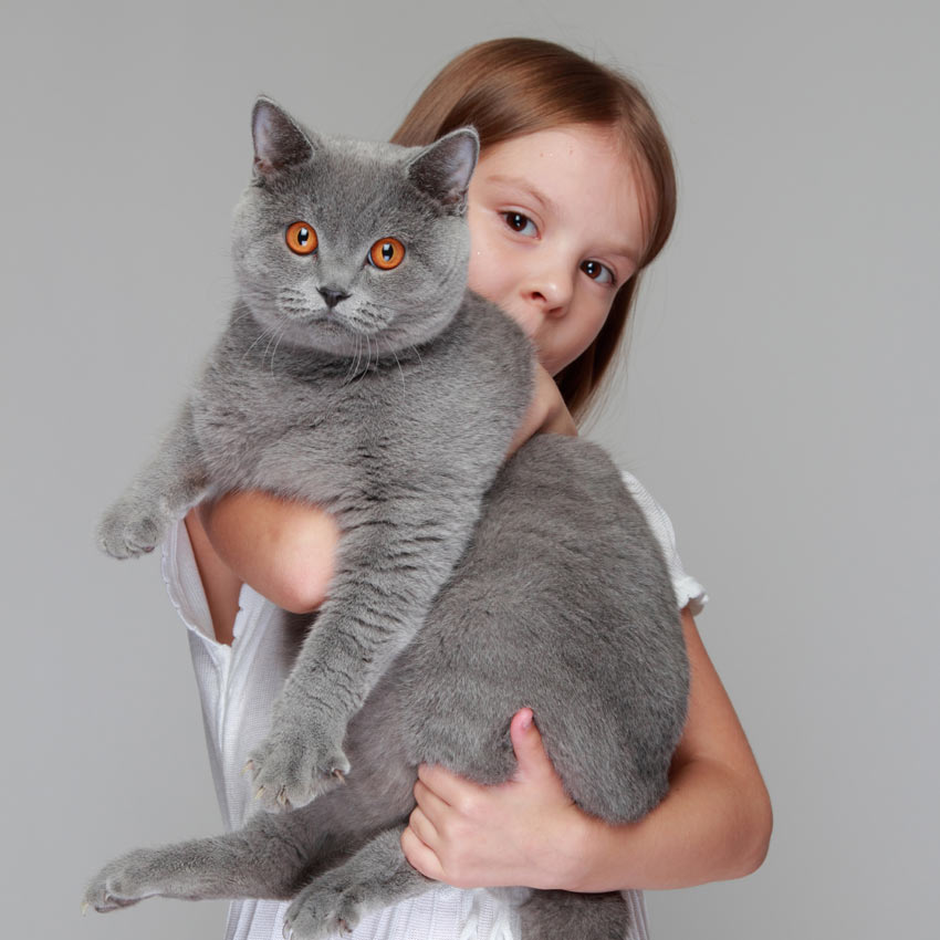 En lille pige holder en kat