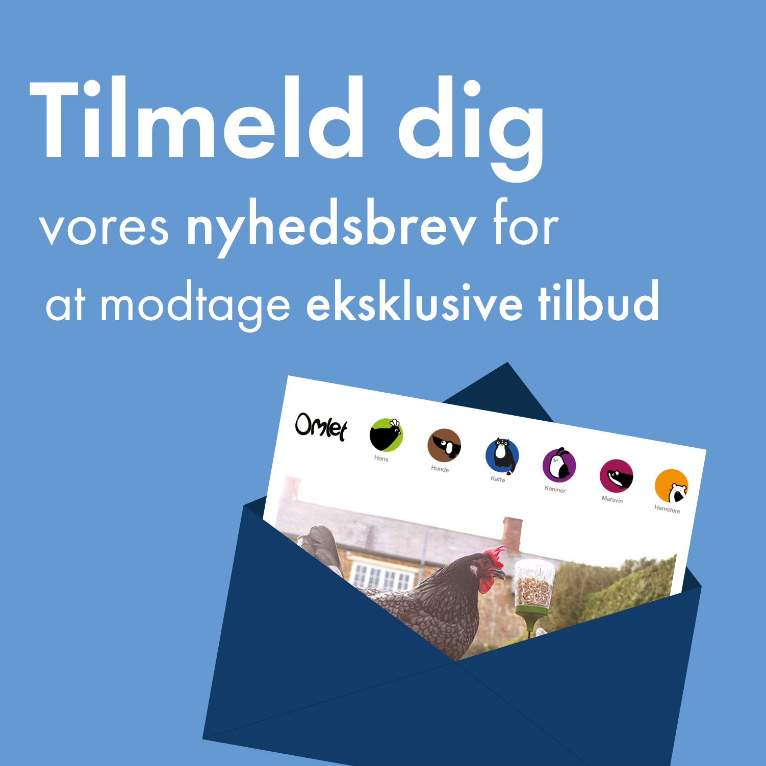 Newsletter Sign Up