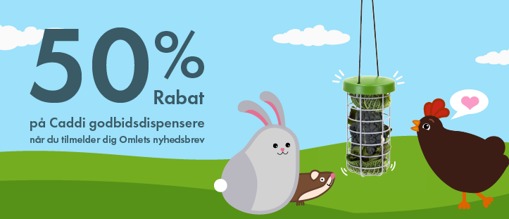 UK_50_Off_Caddi_Newsletter_sign-up_V02_Misc_Banner_Desktop.png