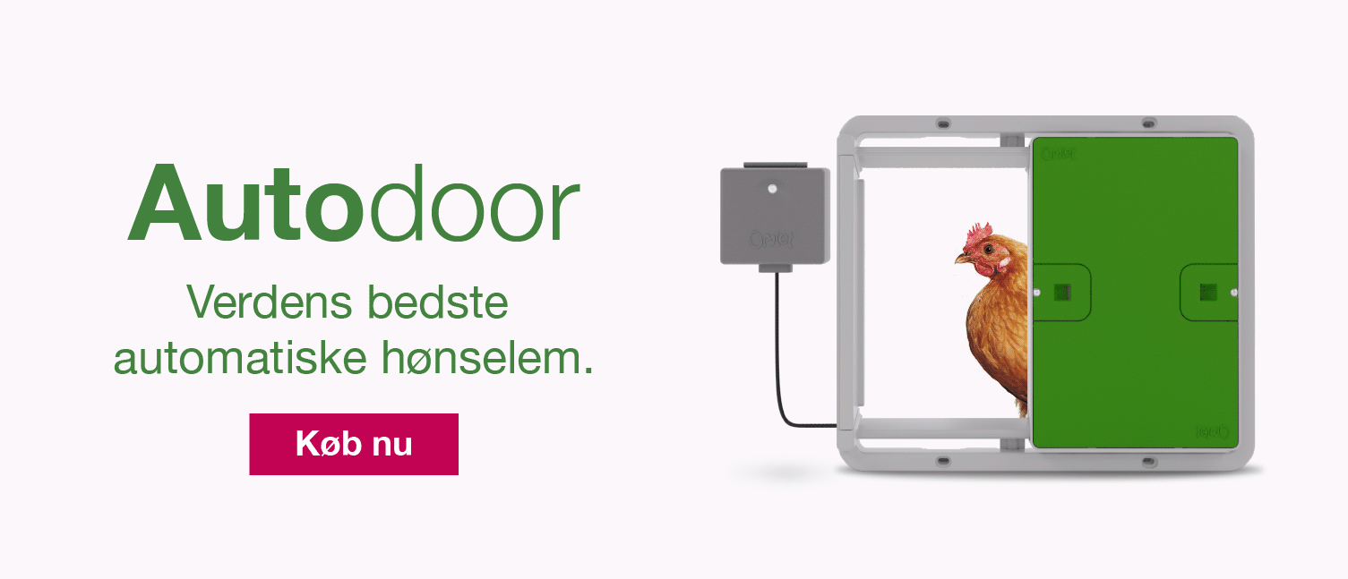 Autodoor Banner