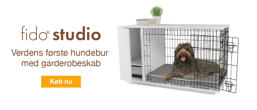 Fido Studio Banner