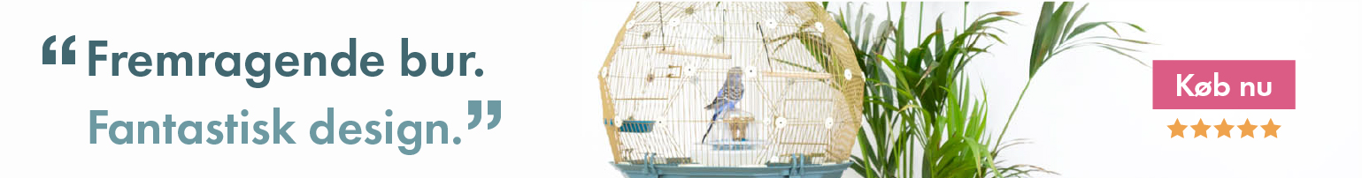 Geo Bird Cage