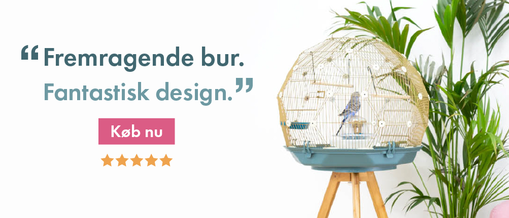 Geo Bird Cage