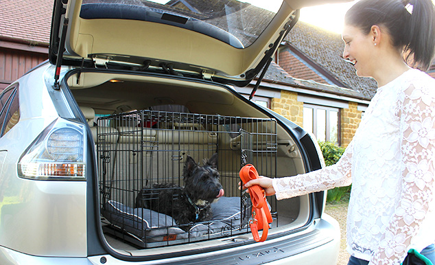 Den sikreste måde at transportere din hund på er ved at bruge et transportbur