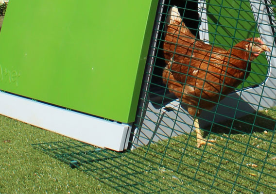 Anti-tunnel panelerne holder dine høns i sikkerhed