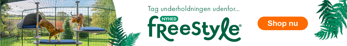 To røde katte leget på et udendørs Omlet Freestyle kattetræ