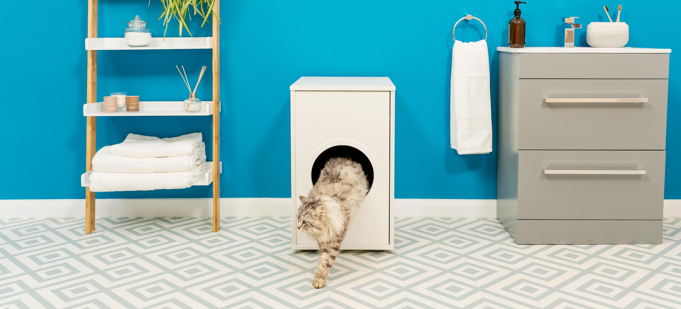 En grå kat går ud af en lukket kattebakke” data-image-id=