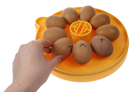 En Brinsea Mini Eco med æg mærket med X'er