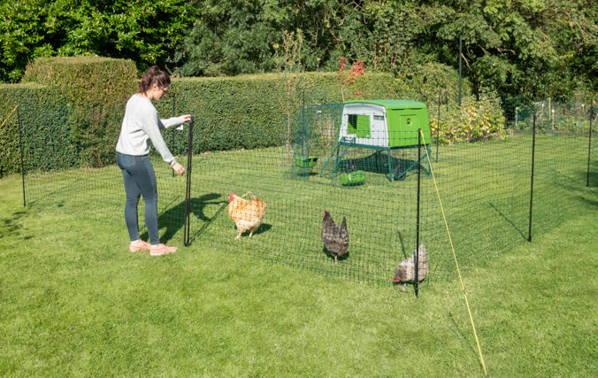 eglu cube og hønseindhegning med dør
