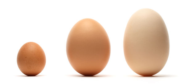 Små, mellemstore og store æg.