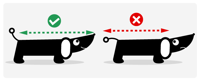 Størrelsesguide til hundesenge