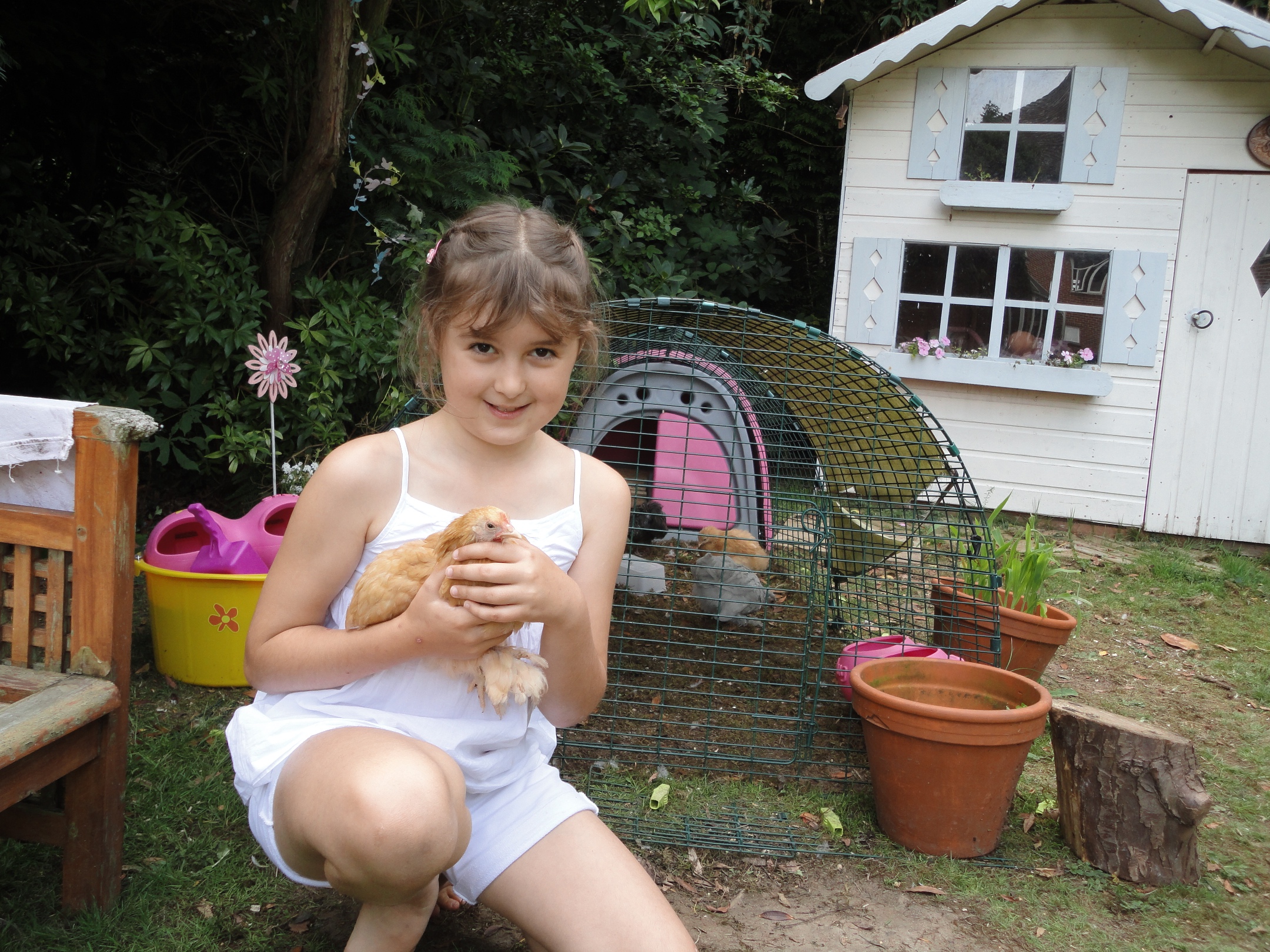 Hvis dine børn håndterer hønsene, fra de er kyllinger, bliver de utrolig tamme